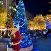 ヒメ日記 2025/11/25 02:18 投稿 すみれ 倶楽部愛