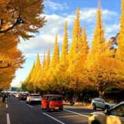 ヒメ日記 2025/12/03 07:35 投稿 すみれ 倶楽部愛