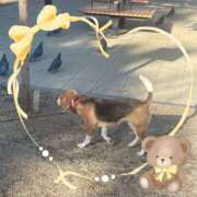 ヒメ日記 2025/12/14 16:57 投稿 すみれ 倶楽部愛