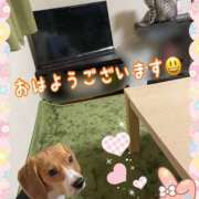 ヒメ日記 2025/12/17 07:22 投稿 すみれ 倶楽部愛