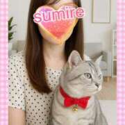 すみれ こんにちは😊 倶楽部愛