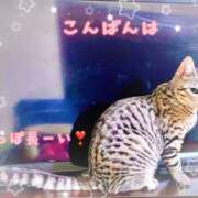 ヒメ日記 2025/12/29 23:17 投稿 すみれ 倶楽部愛