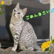 ヒメ日記 2026/01/09 16:04 投稿 すみれ 倶楽部愛