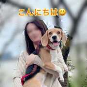 ヒメ日記 2026/01/14 15:54 投稿 すみれ 倶楽部愛