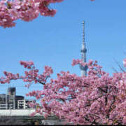 ヒメ日記 2026/03/01 16:00 投稿 すみれ 倶楽部愛