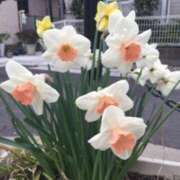 ヒメ日記 2026/03/07 07:47 投稿 すみれ 倶楽部愛