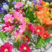 ヒメ日記 2026/03/14 07:30 投稿 すみれ 倶楽部愛