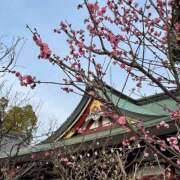 ヒメ日記 2026/03/16 11:30 投稿 すみれ 倶楽部愛