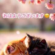 ヒメ日記 2026/03/19 07:10 投稿 すみれ 倶楽部愛