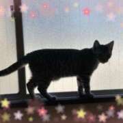 ヒメ日記 2026/03/20 16:17 投稿 すみれ 倶楽部愛