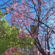 ヒメ日記 2026/03/25 13:02 投稿 すみれ 倶楽部愛