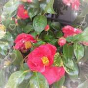 ヒメ日記 2026/03/28 07:43 投稿 すみれ 倶楽部愛