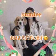 ヒメ日記 2026/04/01 07:35 投稿 すみれ 倶楽部愛