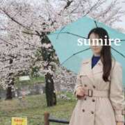 ヒメ日記 2026/04/01 20:28 投稿 すみれ 倶楽部愛