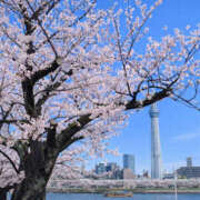 ヒメ日記 2026/04/03 11:00 投稿 すみれ 倶楽部愛