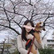 ヒメ日記 2026/04/05 13:34 投稿 すみれ 倶楽部愛