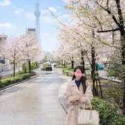 ヒメ日記 2026/04/06 07:44 投稿 すみれ 倶楽部愛