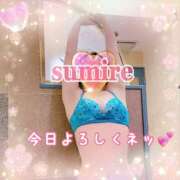 ヒメ日記 2026/04/07 11:31 投稿 すみれ 倶楽部愛