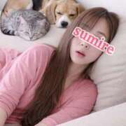 ヒメ日記 2026/04/08 05:53 投稿 すみれ 倶楽部愛