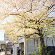 ヒメ日記 2026/04/09 07:33 投稿 すみれ 倶楽部愛