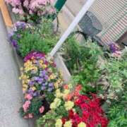 ヒメ日記 2026/04/12 12:20 投稿 すみれ 倶楽部愛