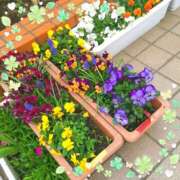 ヒメ日記 2026/04/13 10:04 投稿 すみれ 倶楽部愛