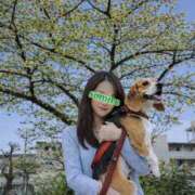 ヒメ日記 2026/04/14 11:20 投稿 すみれ 倶楽部愛