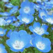 ヒメ日記 2026/04/23 10:49 投稿 すみれ 倶楽部愛