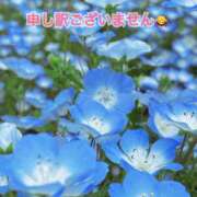 ヒメ日記 2026/04/27 10:09 投稿 すみれ 倶楽部愛