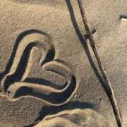 ヒメ日記 2025/09/19 18:20 投稿 のん 手こき＆オナクラ 大阪はまちゃん