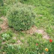 ヒメ日記 2025/11/18 21:20 投稿 のん 手こき＆オナクラ 大阪はまちゃん