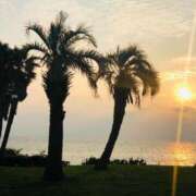 ヒメ日記 2025/05/20 02:24 投稿 椿亜美 プレジデントクラブ