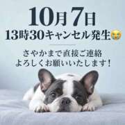 ヒメ日記 2026/10/05 11:12 投稿 さやか 女帝