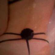 ヒメ日記 2024/12/24 14:24 投稿 神崎さき 五十路マダムエクスプレス横浜店（カサブランカグループ）