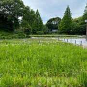 ヒメ日記 2025/03/25 11:36 投稿 神崎さき 五十路マダムエクスプレス横浜店（カサブランカグループ）