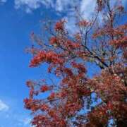 ヒメ日記 2025/10/07 09:36 投稿 神崎さき 五十路マダムエクスプレス横浜店（カサブランカグループ）