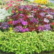 ヒメ日記 2025/10/12 10:40 投稿 神崎さき 五十路マダムエクスプレス横浜店（カサブランカグループ）