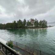 ヒメ日記 2025/11/10 15:32 投稿 神崎さき 五十路マダムエクスプレス横浜店（カサブランカグループ）