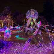 ヒメ日記 2025/11/28 22:14 投稿 神崎さき 五十路マダムエクスプレス横浜店（カサブランカグループ）