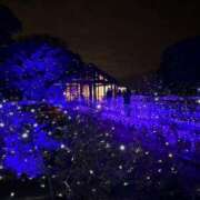 ヒメ日記 2025/12/13 19:06 投稿 神崎さき 五十路マダムエクスプレス横浜店（カサブランカグループ）