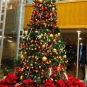 ヒメ日記 2025/12/19 19:30 投稿 神崎さき 五十路マダムエクスプレス横浜店（カサブランカグループ）