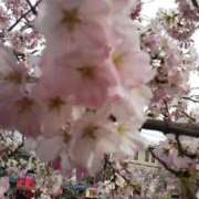 ヒメ日記 2026/02/02 09:44 投稿 神崎さき 五十路マダムエクスプレス横浜店（カサブランカグループ）