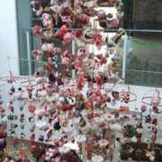 ヒメ日記 2026/02/20 22:18 投稿 神崎さき 五十路マダムエクスプレス横浜店（カサブランカグループ）