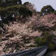 ヒメ日記 2026/03/18 23:04 投稿 神崎さき 五十路マダムエクスプレス横浜店（カサブランカグループ）