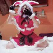 ヒメ日記 2024/12/25 12:06 投稿 ふたば ビギナーズ東京