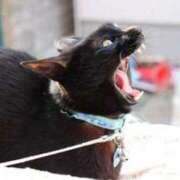 ヒメ日記 2025/01/21 16:36 投稿 ノア Club Hearts