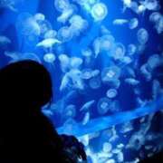 ヒメ日記 2025/02/15 15:31 投稿 ノア Club Hearts