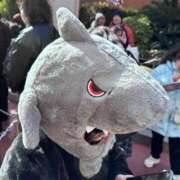 ヒメ日記 2025/02/22 14:01 投稿 ノア Club Hearts