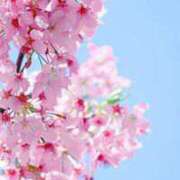 ヒメ日記 2025/03/31 20:02 投稿 ノア Club Hearts