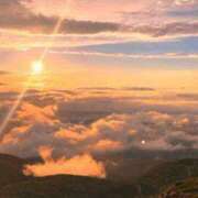 ヒメ日記 2025/04/29 10:21 投稿 ノア Club Hearts